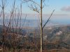 gambarie alberi
